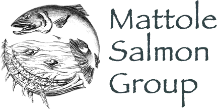 Mattole Salmon Group